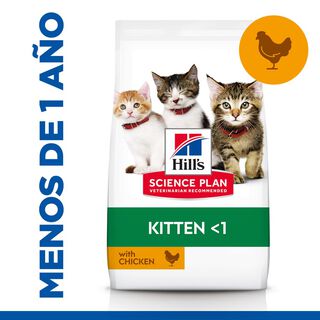 Hill's Kitten  Science Plan Frango ração 